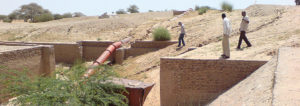 Anbau von Jatropha im Sudan